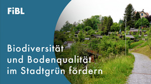 Ein Thumbnail für ein Video zu BetterGardens Workshops. Links ist ein blauer Halbkreis, rechts ein Foto eines schön grünen Stadtgartens. Text: "Biodiversität und Bodenqualität im Stadtgrün fördern"